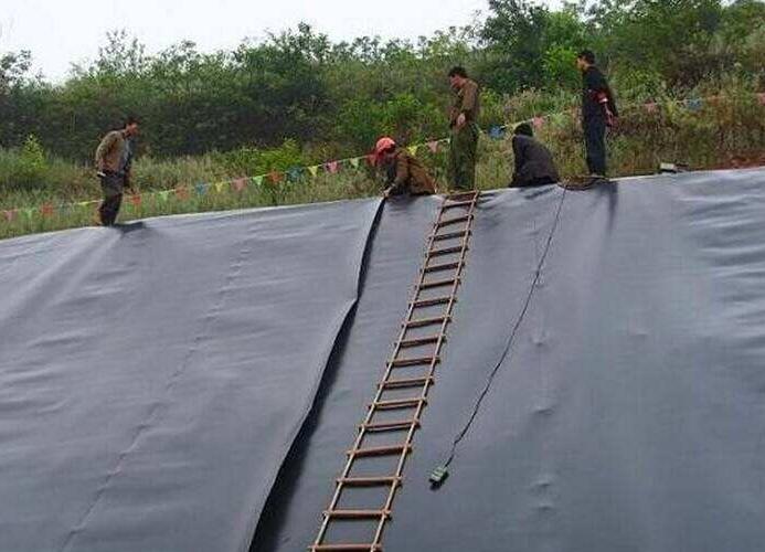 為什么說施工中越來越傾向于選擇鈉基膨潤土防水毯呢