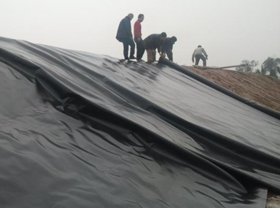 HDPE防滲膜可以作為單獨一項防滲處理技術(shù)使用