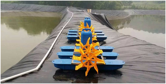 標準化錦鯉養(yǎng)殖塘采用復合土工膜防滲的優(yōu)勢