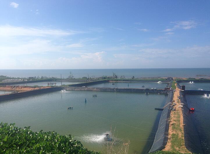 防止垃圾填埋場出現(xiàn)水平滲漏改進(jìn)的方法和建議