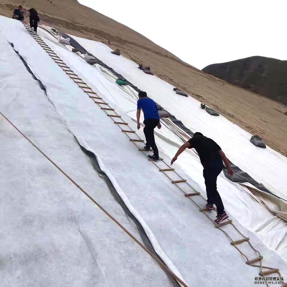 膨潤土防水毯等各種方案工程風(fēng)險(xiǎn)對(duì)比