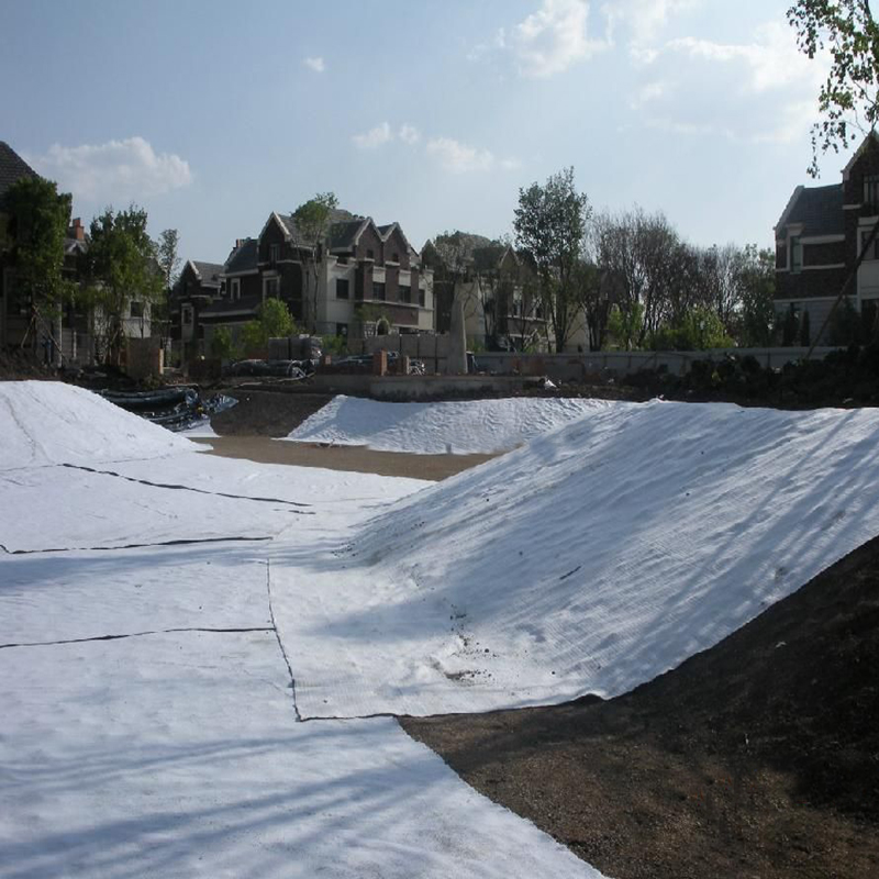 壩體土工膜防滲結構目前可能存在的失穩(wěn)情況有哪些？