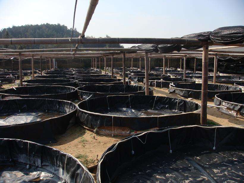 請參考石油儲(chǔ)罐基礎(chǔ)設(shè)施土工膜施工方法