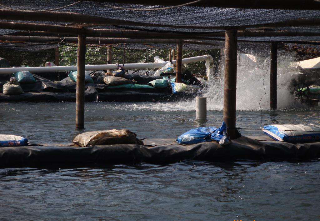 大型污水處理廠的水池結(jié)構(gòu)設(shè)計(jì)要點(diǎn)