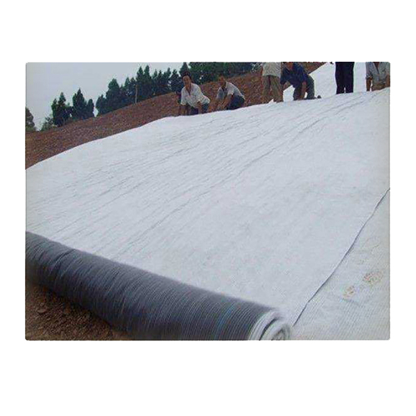 膨潤土防水毯有效擴散系數(shù)對復(fù)合襯墊擊穿時間的影響