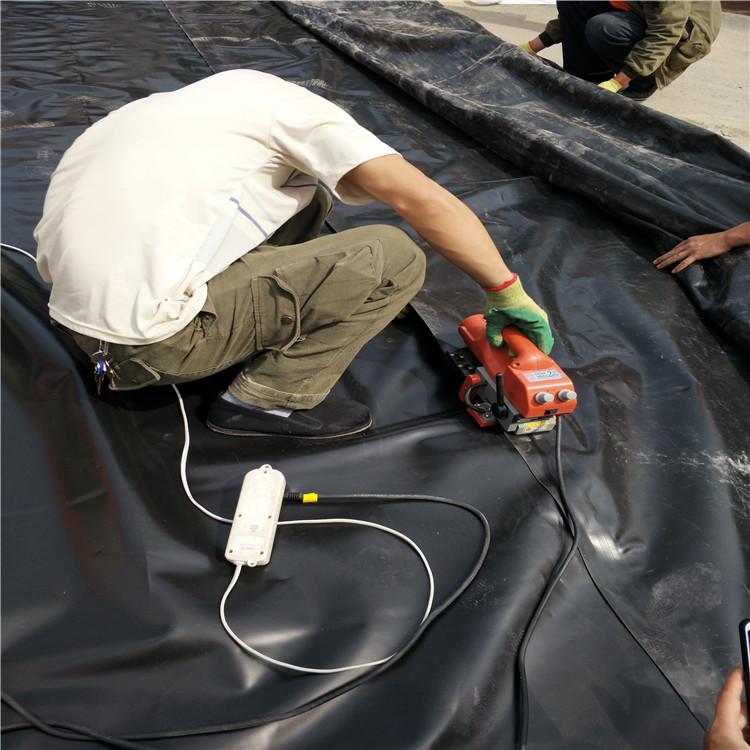 藕池套養(yǎng)改善農(nóng)村“臭塘”“污塘”問(wèn)題