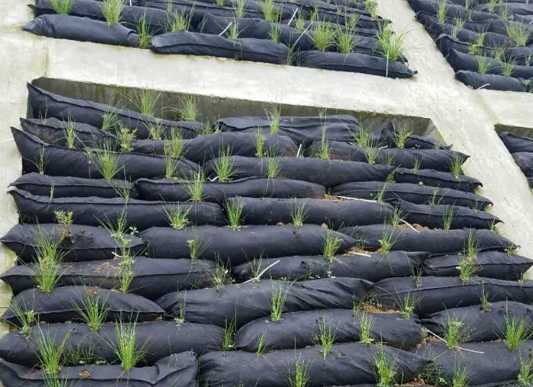 生態(tài)袋護岸的應用技術(shù)要點