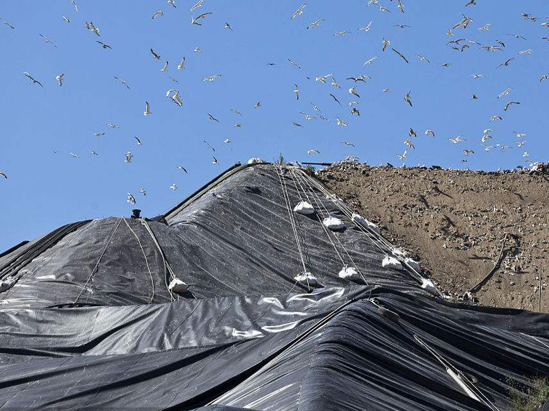 土工織物(土工布)能阻止隆起而產(chǎn)生的平衡鎮(zhèn)壓作用的效應