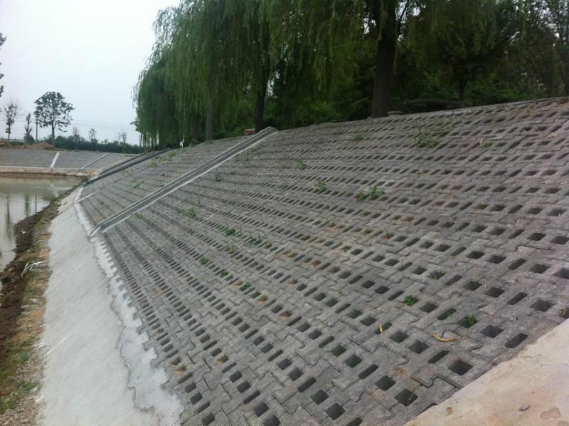 3種常見的坡式護岸技術分別是什么類型？