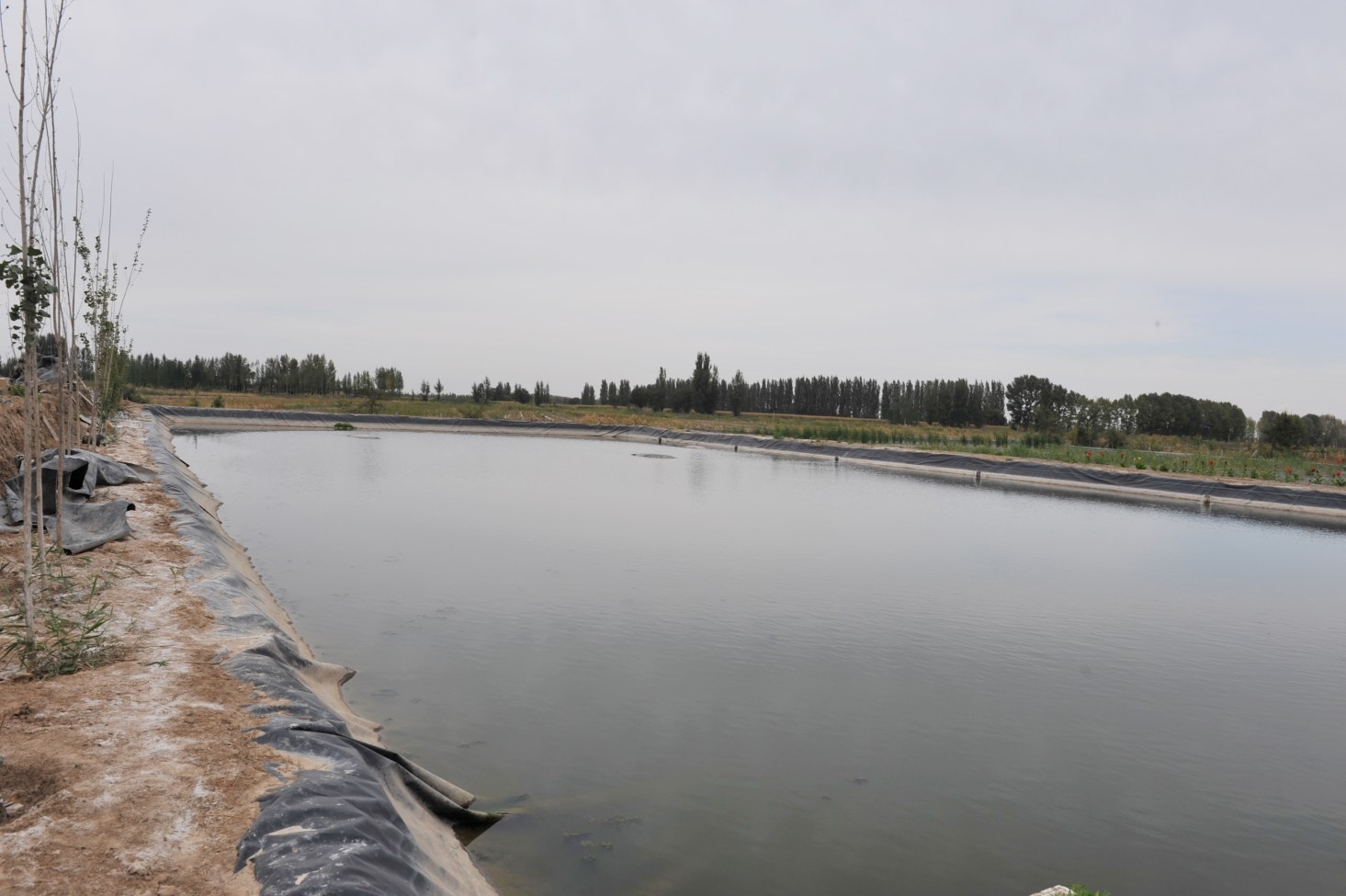 港口航道護(hù)岸工程中常見的軟基處理施工工藝