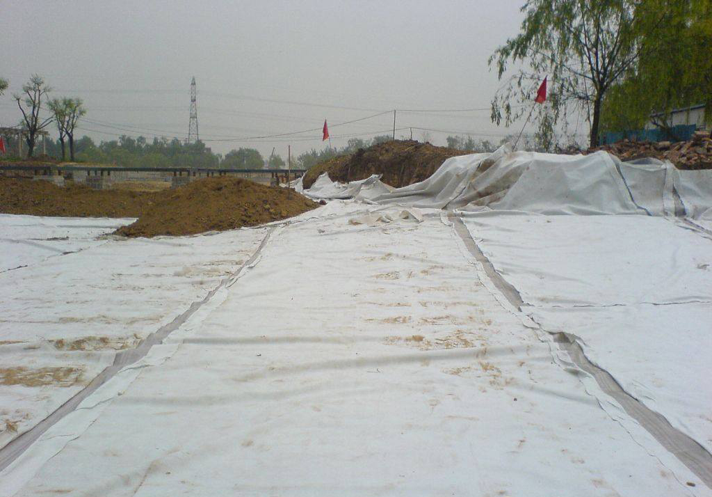 選擇在渡槽內(nèi)采用防滲膜進(jìn)行防滲處理方案效果俱佳