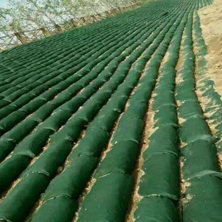 土干密度對生態(tài)袋-粘性土的界面摩擦系數也存在影響