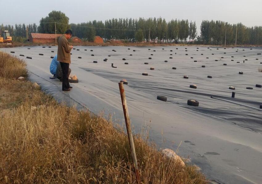 什么是hdpe防滲膜？它有什么優(yōu)點？