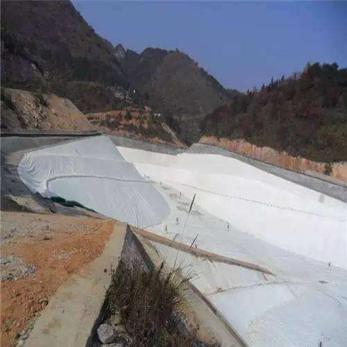 魚道斷面土工膜的設(shè)計(jì)標(biāo)準(zhǔn)與應(yīng)用